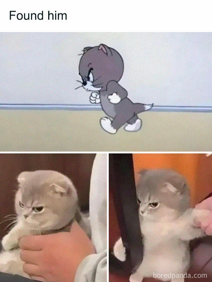 Funny-Random-Memes-Thehilarious-Ted