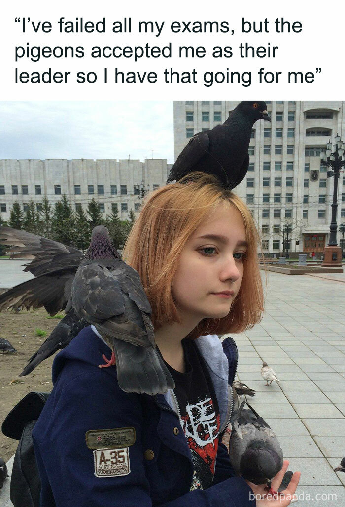 Funny-Random-Memes-Thehilarious-Ted