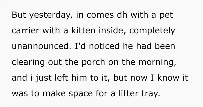 Husband Makes A Selfish Decision To Bring A Kitten Home Without Considering His Family's Feelings