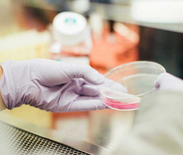 16 Científicos forenses cuentan cuál ha sido su descubrimiento más impactante