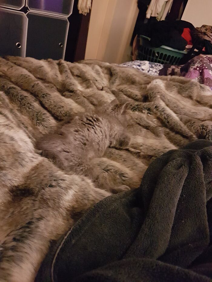 Be Careful Where You Sit