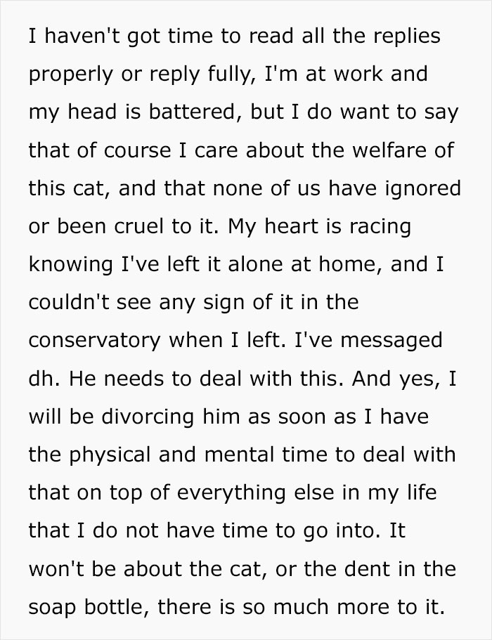 Husband Makes A Selfish Decision To Bring A Kitten Home Without Considering His Family's Feelings