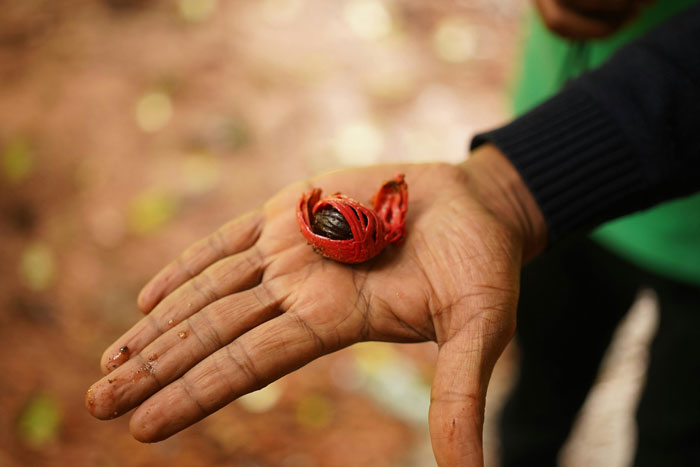 30 Fun Ice Breaker Facts People Use For A Lasting Impression