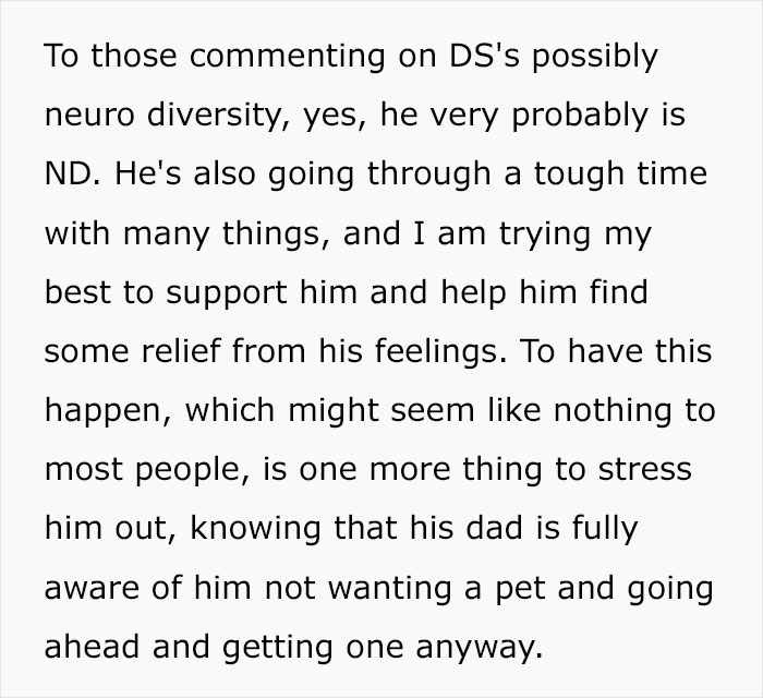 Husband Makes A Selfish Decision To Bring A Kitten Home Without Considering His Family's Feelings