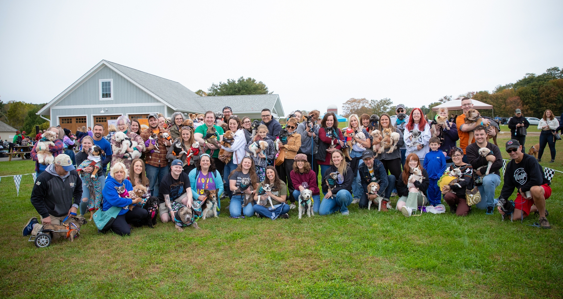 Shelter Dog Loses Her Best Friend Of 17 Years, But Then Vintage Pet Rescue Found His Plushie Twin