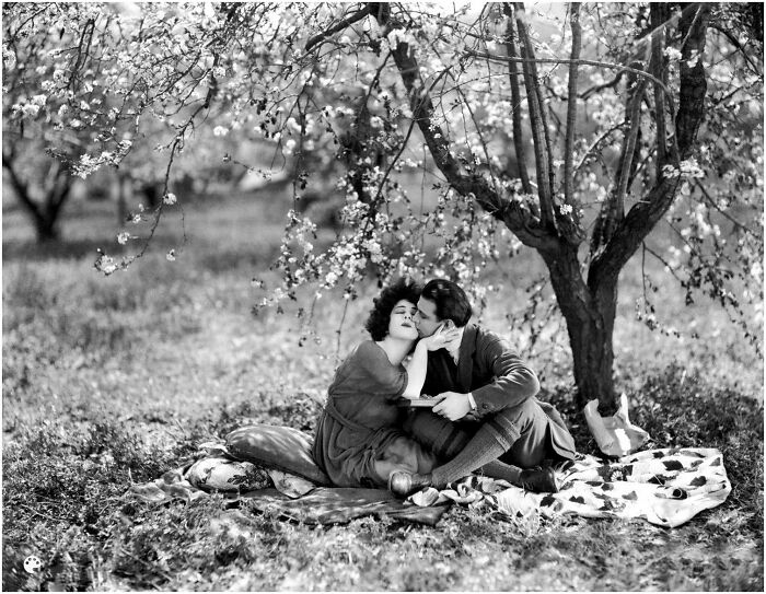 Vintage black and white photo of a couple sharing a tender moment during a picnic under blossoming trees.