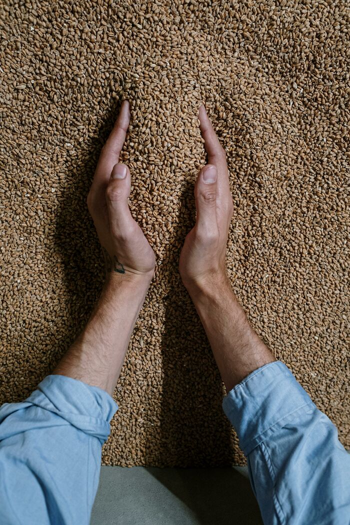 50 Predictions For The Next Thirty Years People Think Have A 99% Chance Of Becoming A Reality