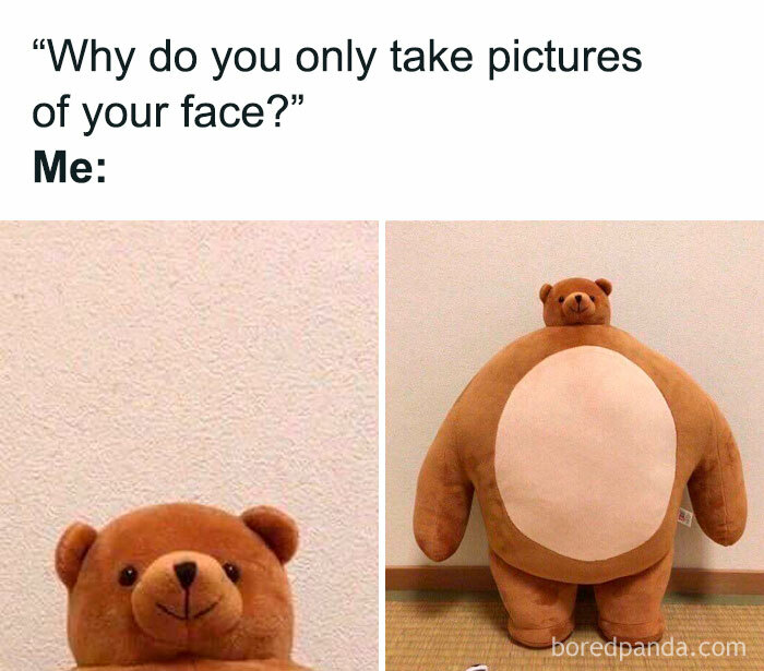 Stuffed bear meme showing only its face in one image, full body in another. Funny meme for a good laugh.