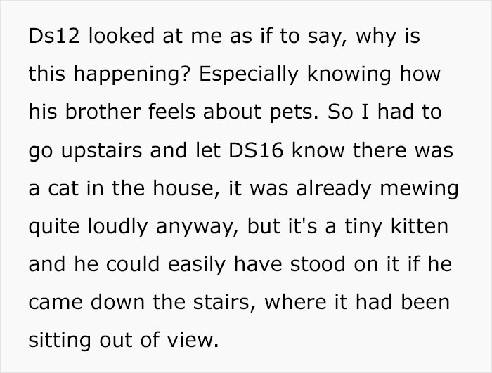 Husband Makes A Selfish Decision To Bring A Kitten Home Without Considering His Family's Feelings