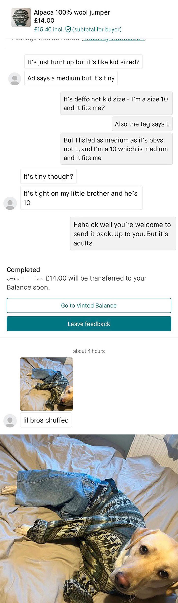 Funny-Weird-Shopping-Conversations-Dm-Drama