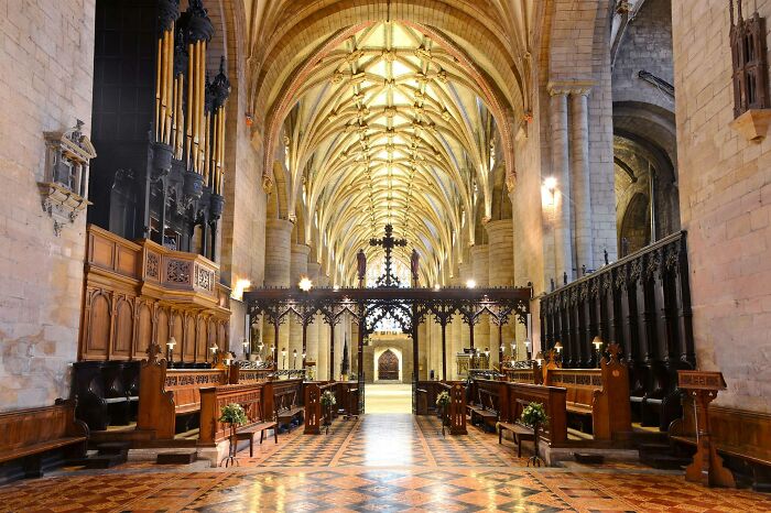 These Dogs Were Allowed To Come In Temporarily, But Ended Up Staying As Staff At Tewkesbury Abbey
