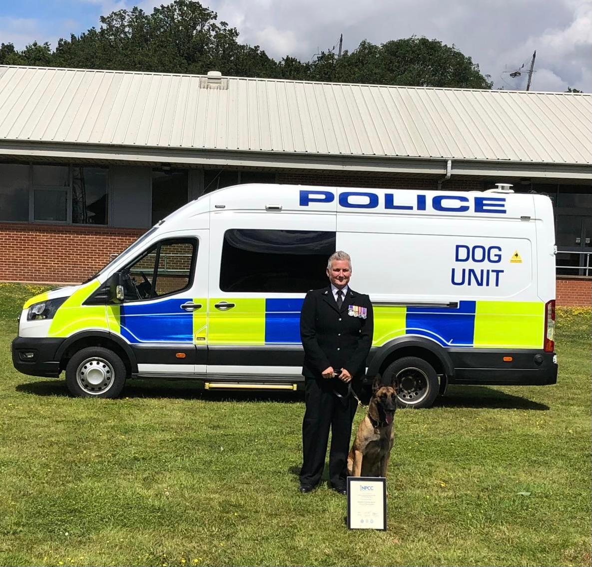 Stray Dog Becomes Employed At A Gas Station After Chasing Off Robbers