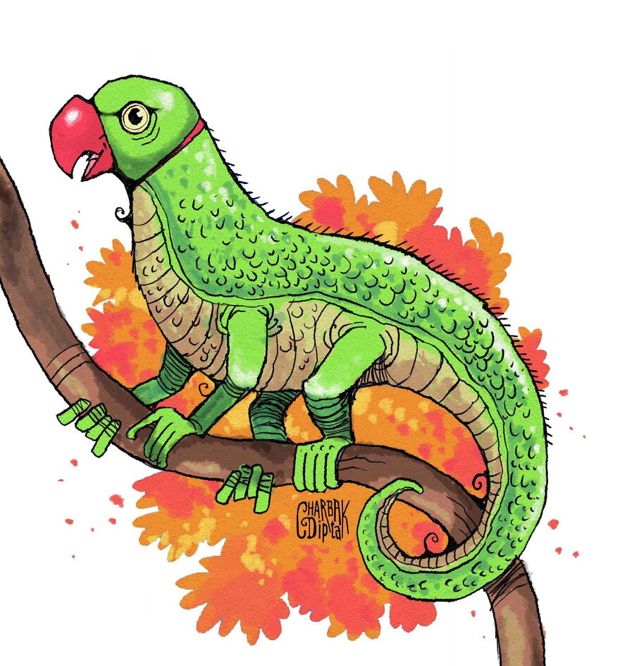Parrotlizard