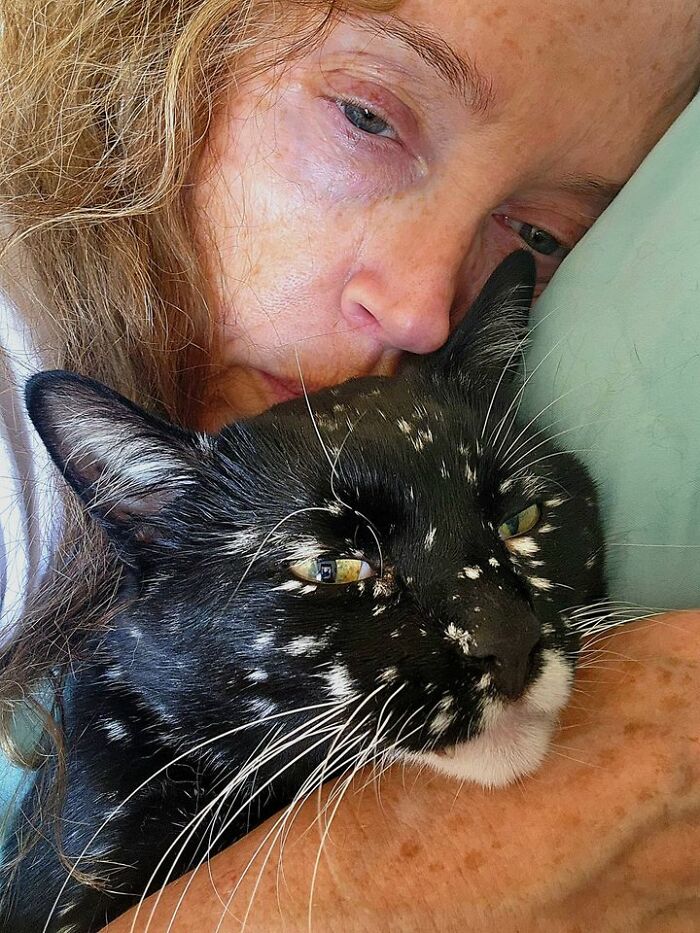 Magical Cat Has Condition That Makes His Fur Look Like A Galaxy Of Stars, People Are Obsessed Magical Cat Has Condition That Makes His Fur Look Like A Galaxy Of Stars, People Are Obsessed