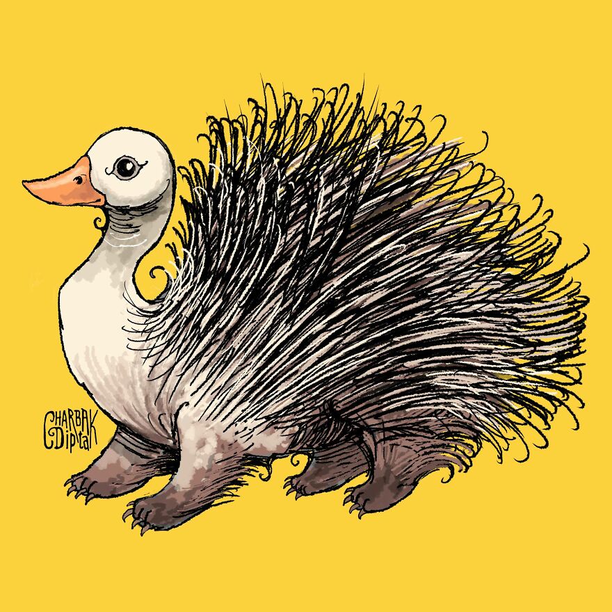Porcuduck
