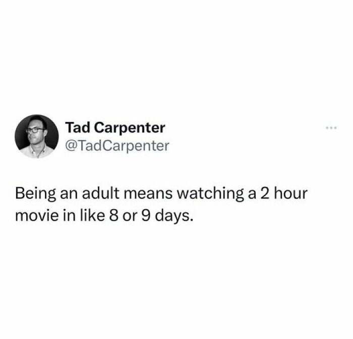 Funny Netflix meme about adulting and taking days to finish a movie.