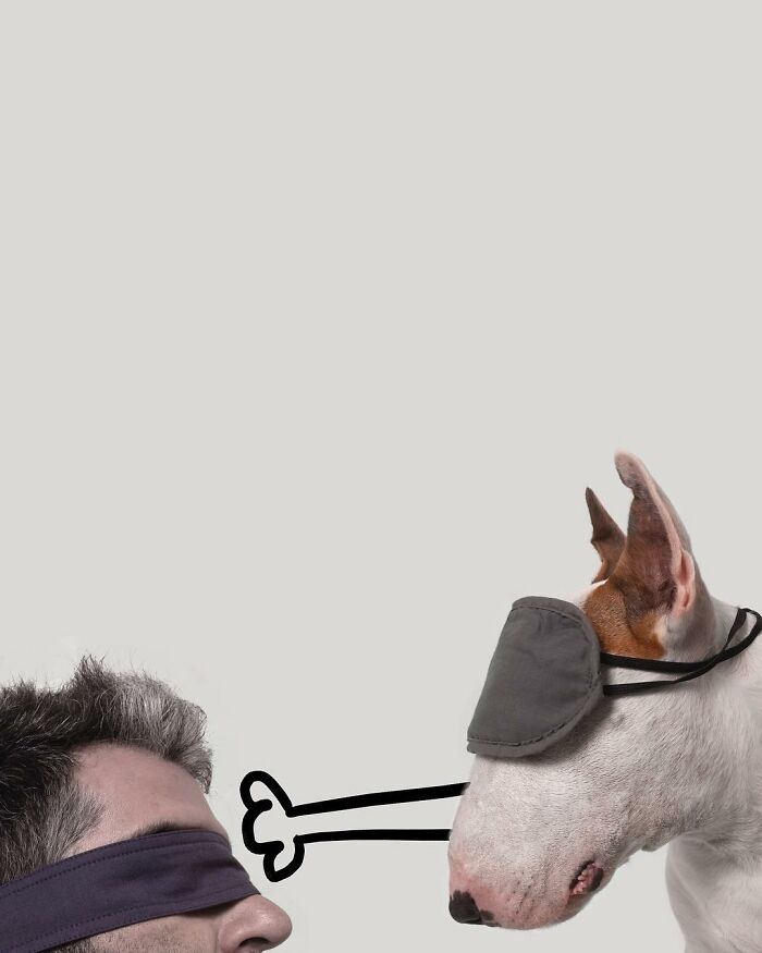 Guy Whose Wife Left Him With Nothing But A Dog Continues To Put Him In Fun Scenarios (47 New Pics)