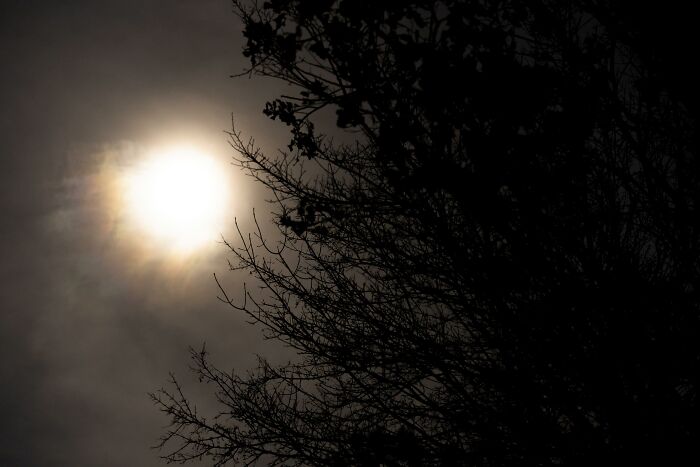 50 Disturbing Facts To Make You Want To Crawl Under Your Bed And Stay There