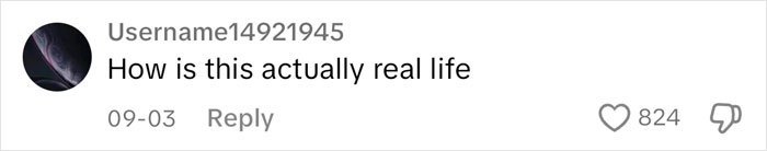  Elon Musk Shares An &ldquo;Interesting Observation&rdquo; About Women, Gets Savage Backlash For It