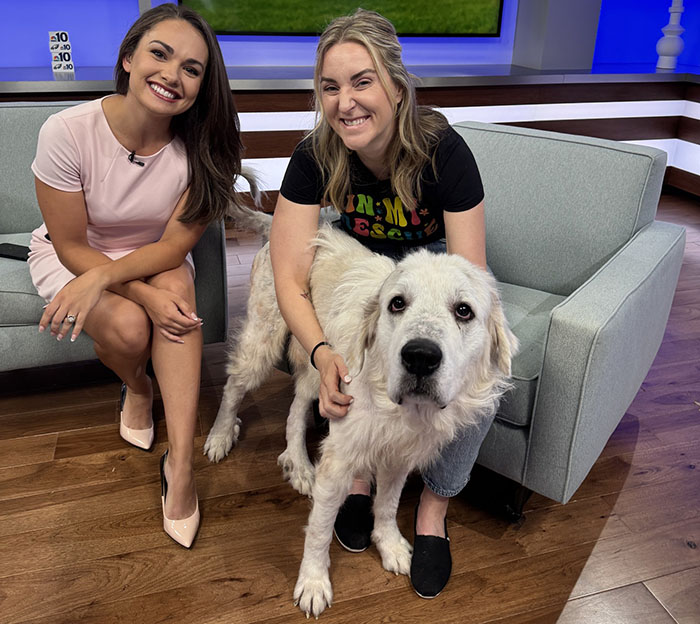 Terribly Neglected Dog Never Loses Hope, Gets Rescued, And Is Given The Life He Always Deserved