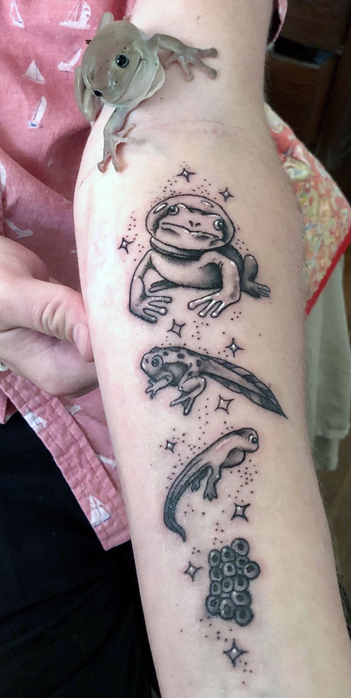 New Ink Inspired By My Tilt Headed, Space Cadet- Steve, The White’s Tree Frog