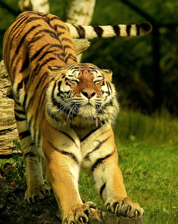 50 Predictions For The Next Thirty Years People Think Have A 99% Chance Of Becoming A Reality