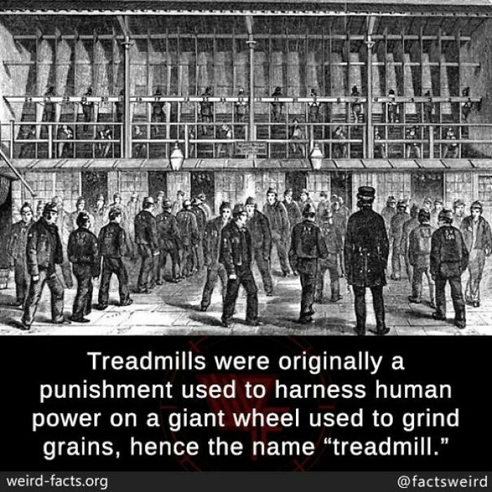 Vintage illustration showing workers on early treadmills, illustrating fascinating and amusing fun facts about human-powered machines.