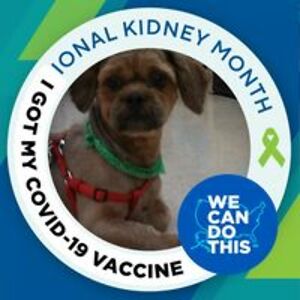 cohagan_linda avatar