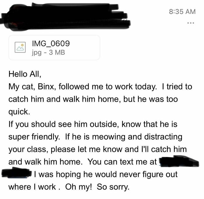 The Best Type Of Work Email