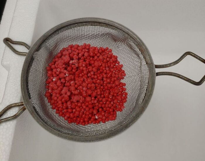 Forbidden Vampire Dippin' Dots (Frozen Blood From A Patient With An Incredibly Rare Blood Attribute)