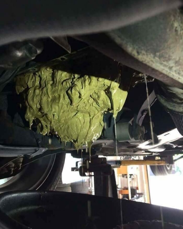 Forbidden Guacamole