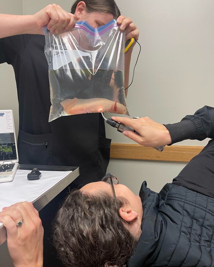 Forbidden Chicken Breast