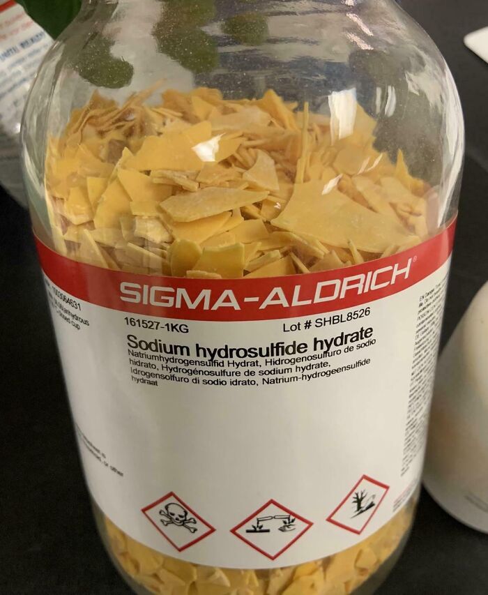 Forbidden Nachos
