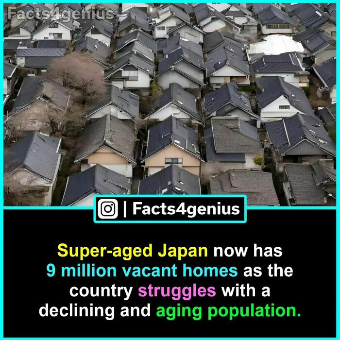 Aerial view of a Japanese neighborhood highlighting aging population and vacant homes, emphasizing interesting facts.