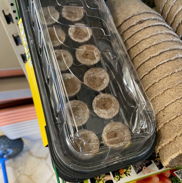 Forbidden Sushi Rolls