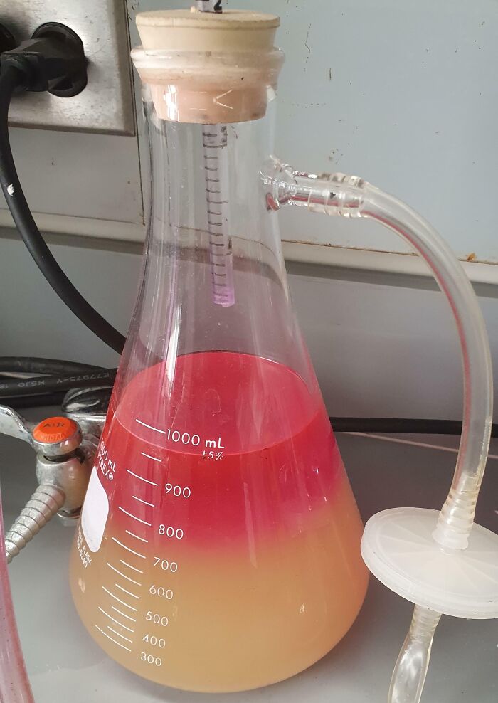 Forbidden Tequila Sunrise