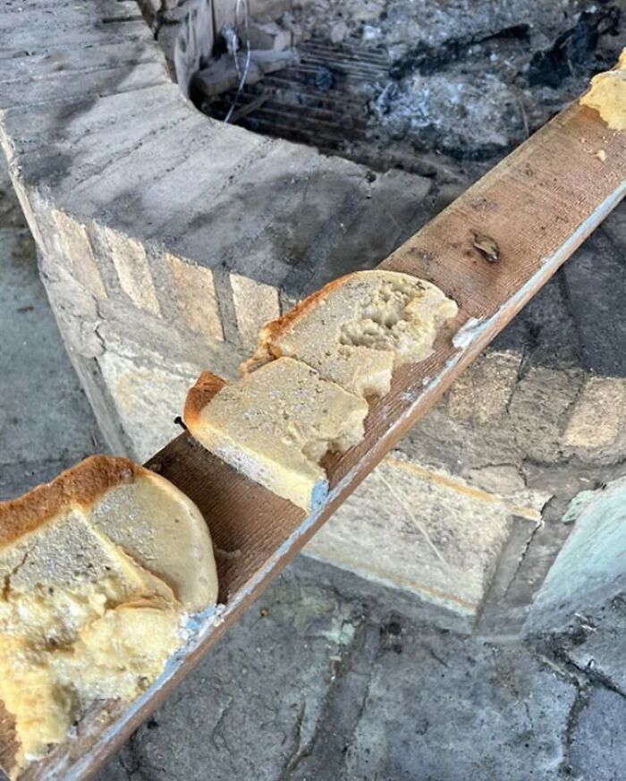 Forbidden Toast (It's Insulation Foam I Think)