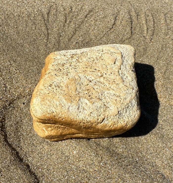 Today At The Beach I Found A Rock That Looked Like A Sandwich