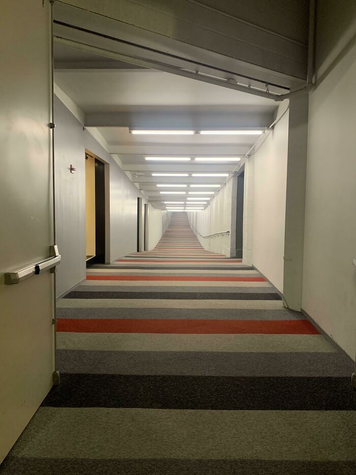 Started A New Job Recently