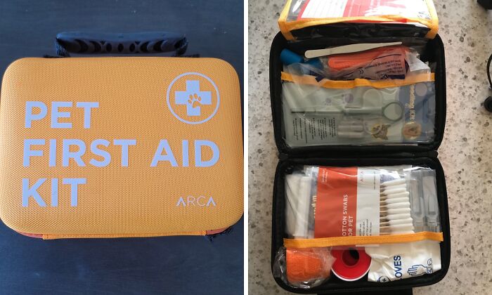 Beware Of Skunk Encounters