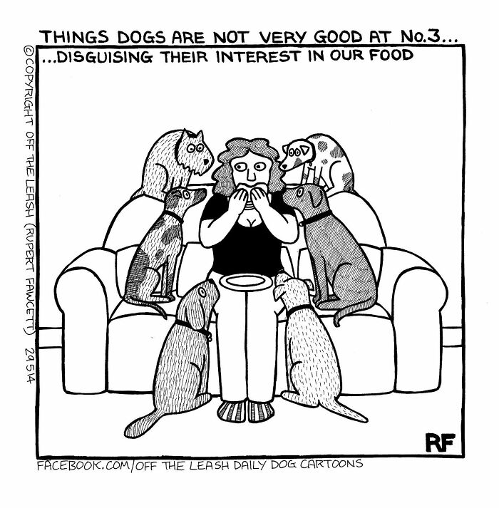 New Relatable Comics About The Reality Of Owning A Dog From The Series “Off The Leash”