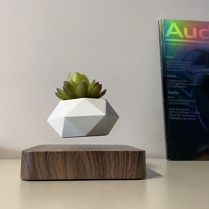 This Floating Plant Pot Is So Cool, It'll Make You Feel Like You're Working In A Hogwarts Greenhouse 