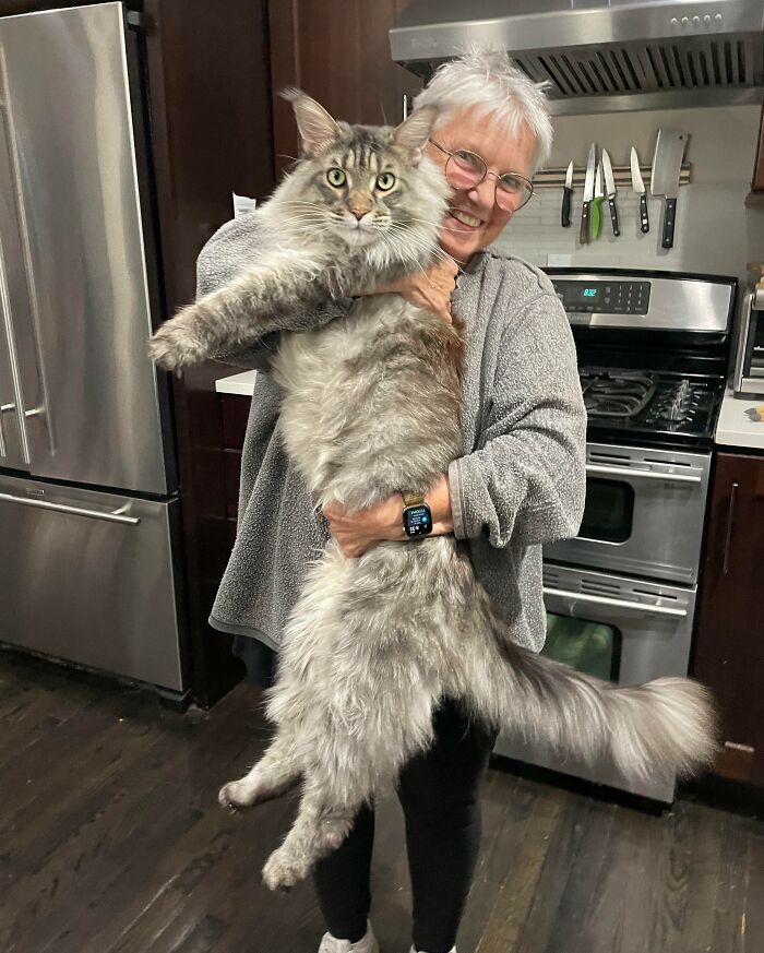 Grandma Came To Visit LJ, And She Could Barely Pick Him Up. He’s Become So Big. I Reminded Her He’s Going To Grow For Another 2 Years