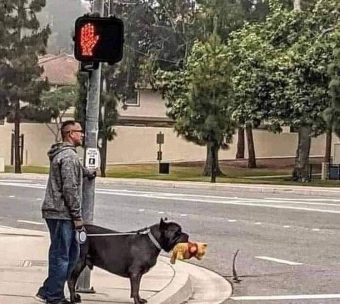 Heartwarming-Stories