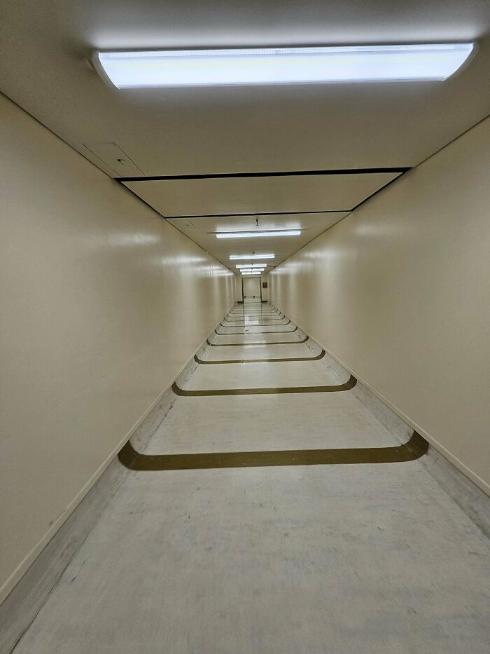 This Liminal Tunnel Where I Work
