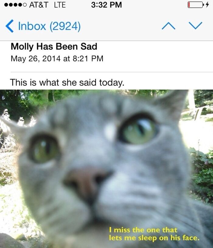 I'm On A Month Long Road Trip And This Is The First Email My Parent Sent Me