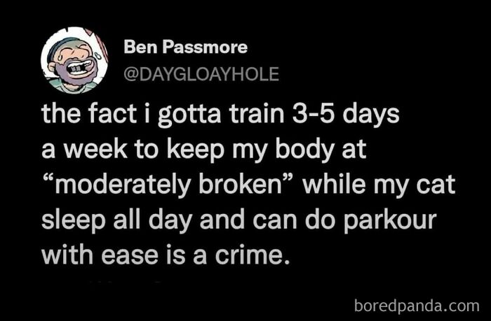 Text meme highlighting the humor in daily workouts vs. a cat's effortless parkour skills.