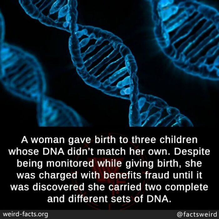 Close-up image of DNA strands illustrating unusual genetic facts and fascinating fun facts about DNA discoveries.