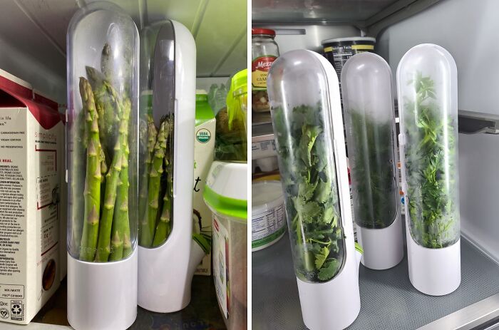 The Secret To Keeping Your Herbs Fresh And Flavorful For Weeks? Herb Savor – Your Kitchen’s Best-Kept Secret!