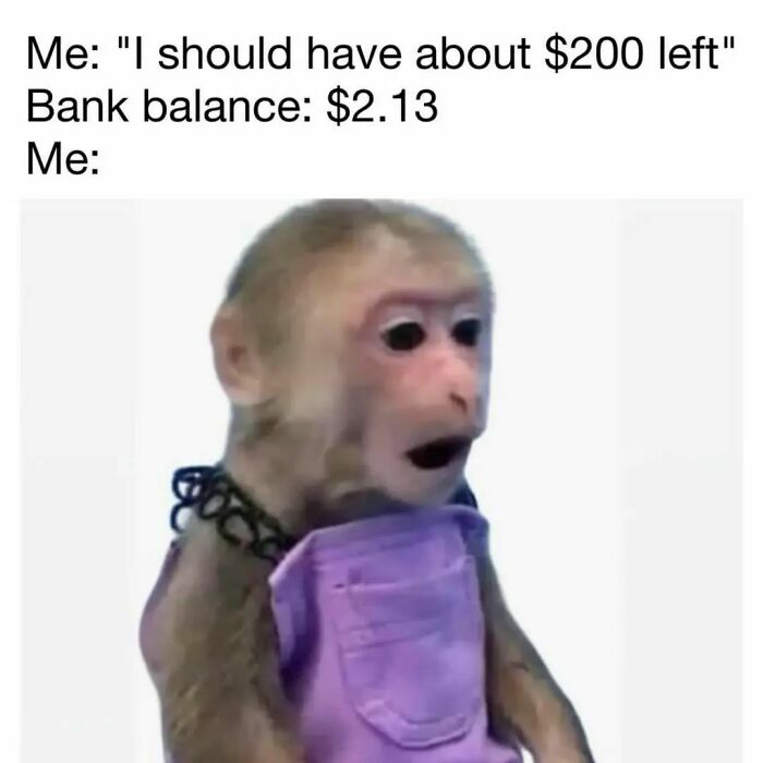 Monkey looking shocked wearing a purple outfit, paired with humorous text about bank balance and unexpected expenses meme.